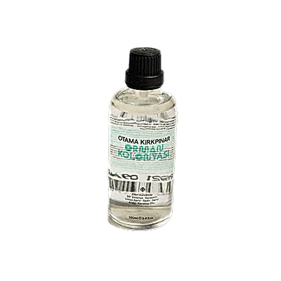 Otama Kırkpınar Orman Kolonyası