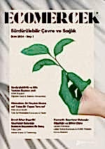 Ecomercek Dergi-Sayı 1