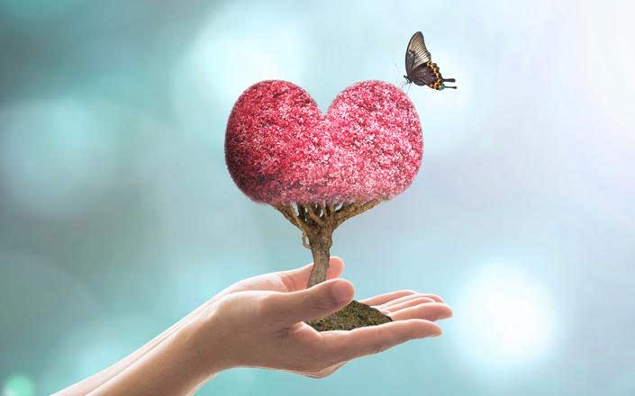 ECOMERCEK KUTULARI NEDİR?